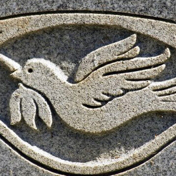 dove on the headstone