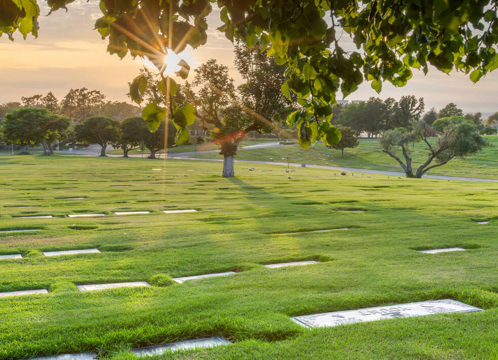 Silent Sentinels: The Enduring Legacy of America’s National Cemeteries
