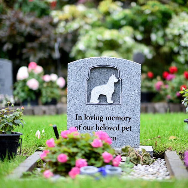 How deep does a grave for a dog need to be3 How deep does a grave for a dog need to be3