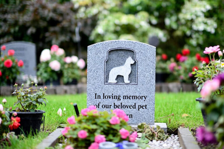 How deep does a grave for a dog need to be3