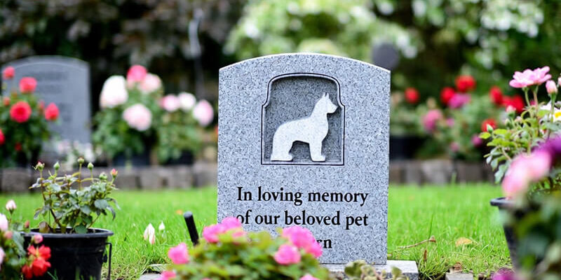 How deep does a grave for a dog need to be3 How deep does a grave for a dog need to be3