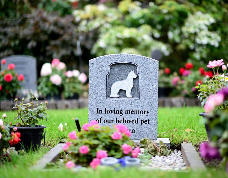 How deep does a grave for a dog need to be3